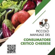 piccolo manuale cons crit chieri